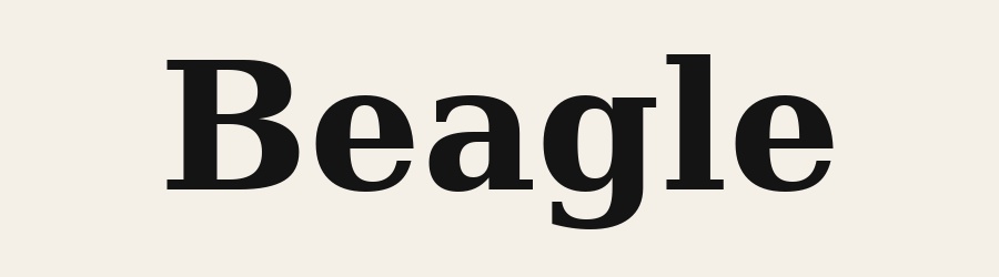 Beagle